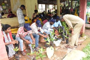 Skill Development Training on Nursery Management Techniques in Cashew ...