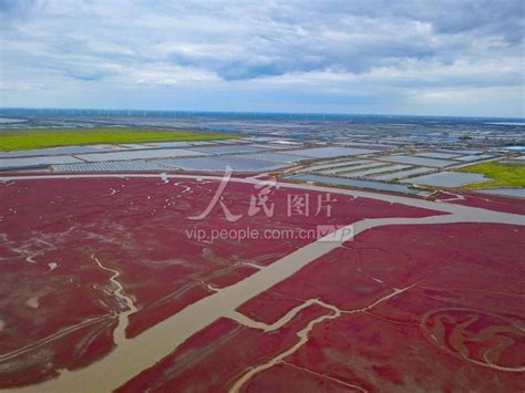 辽宁盘锦：红海滩最“红”时刻-人民图片网