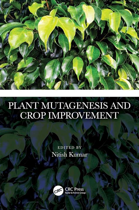 Buy Plant Mutagenesis and Crop Improvement Book Online at Low Prices in ...