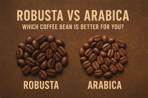 Robusta vs Arabica – Which Coffee Bean is Better for You? – Latteholic