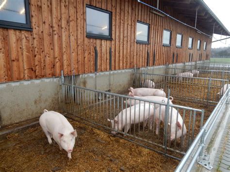 Studie: Ökolandbau hat Vorteile für Umwelt und Gesellschaft ...