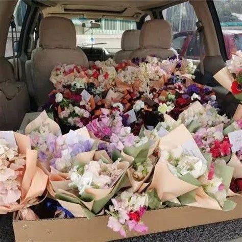 春天发什么礼物好最新素材