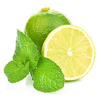 PDTDB & Phytochemical and Drug Target DataBase | Home