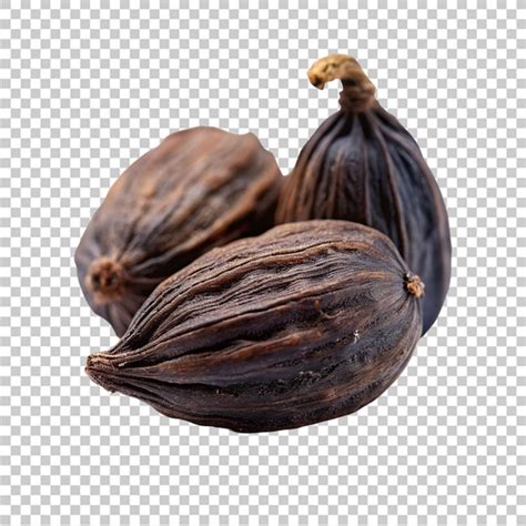 Image result for Cocoa API