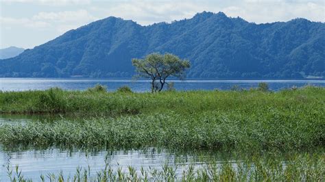 Semboku Travel Guide | Semboku Tourism - KAYAK