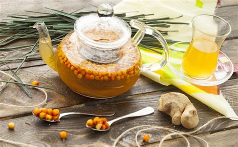 7 секретов заварки вкусного чая из облепихи с пользой для здоровья