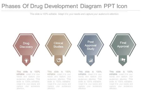Image result for Drug Development Flowchart