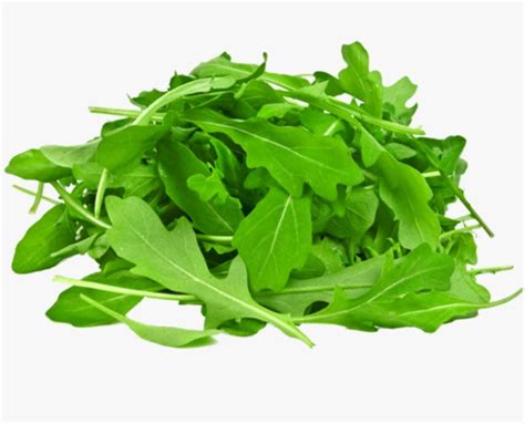 Rocket Arugula - Gabbar Farms