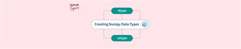 Image result for Python-Numpy D-Type