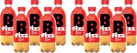 B Fizz Malt Flavoured Sparkling Drink Pet Bottle 250ml (Pack of 6 ...