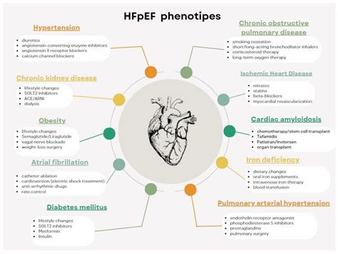 Current Insights and Future Directions in the Treatment of Heart ...