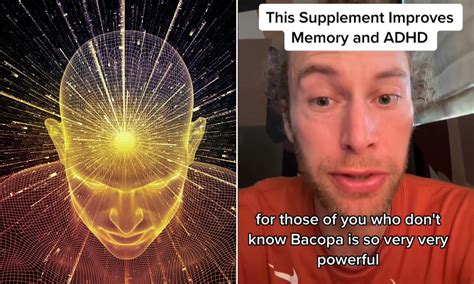 Scientists discover 'wonder supplement' that supercharges the brain