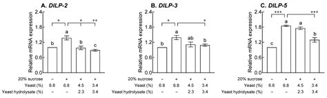 Yeast Hydrolysate Inhibits Lipid Accumulation via Regulation of Lipid ...