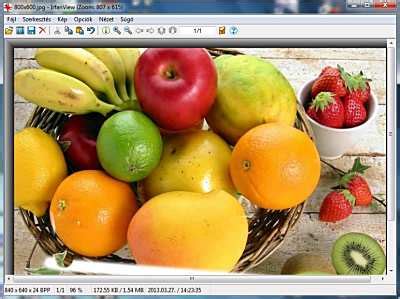 Image result for IrfanView First Marriage