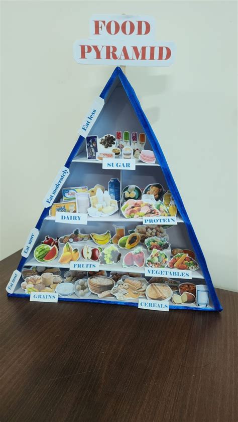 Food Pyramid Project Work 的图像结果