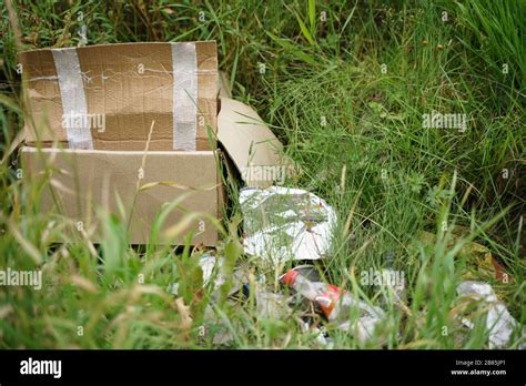 Image result for World Garbage Problem