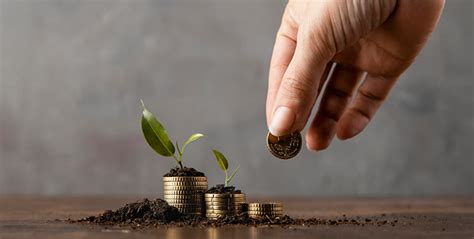 Dhosa Chandaneswar Bratyajana Samity (DCBS) - Socio Economic ...