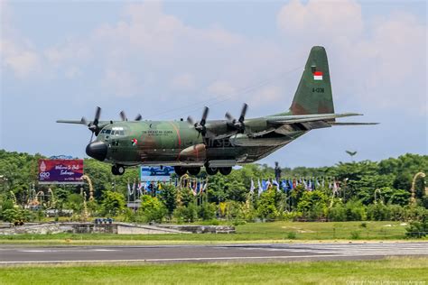 Indonesian Air Force (TNI-AU) Lockheed C-130H Hercules (A-1338) | Photo 537816 • netAirspace