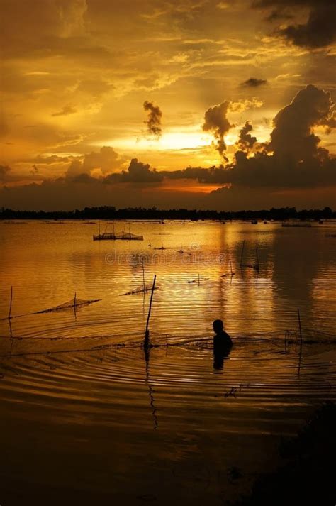 Swim 的图像结果