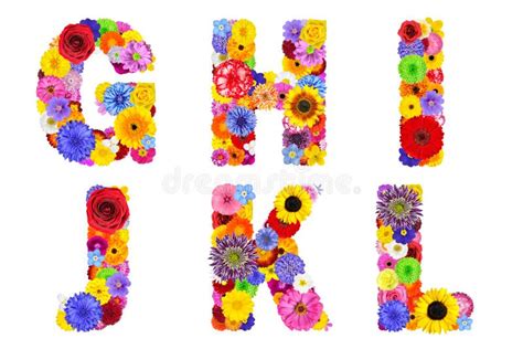 Image result for JSON Text Format Example