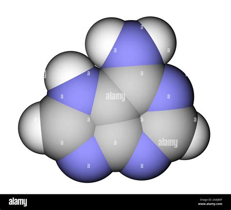 Nucleobase adenine space filling molecular model Stock Photo - Alamy