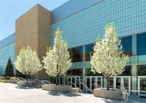 Withdrawing | Admissions | BYU-Idaho