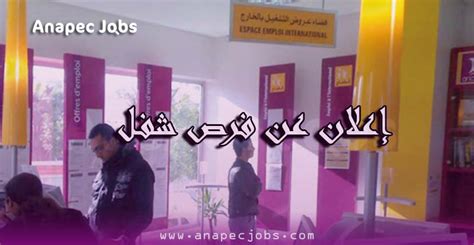 مناصب شغل للعمل بدار البيضاء و طنجة وسلا 2023 ☆ ANAPEC Jobs