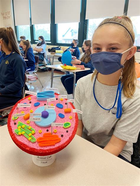 Image result for Animal Cell Model Project