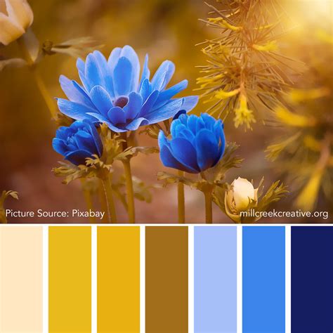 Complementary Spring Colors 的图像结果