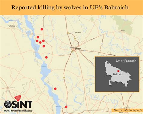 Wolf attacks in Uttar Pradesh’s Bahraich: Decoding patterns, reasons ...