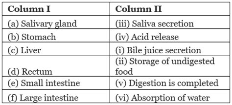 NCERT Solutions for Class 7 Science - Nutrition in Animals