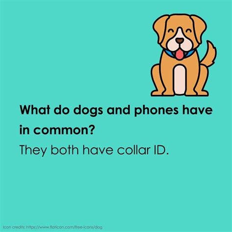 49 Zany Animal Jokes for Kids - Teaching Expertise