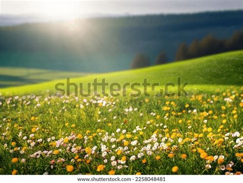 Spring/Summer View 的图像结果