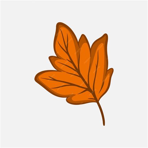 Image result for Create Database Name in MySQL