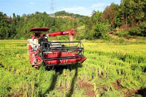 收割 的图像结果