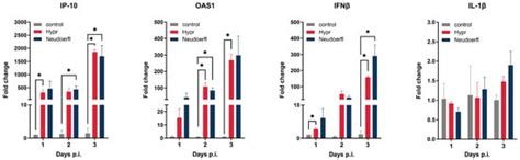 Robust CXCL10/IP-10 and CCL5/RANTES Production Induced by Tick-Borne ...
