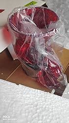 Buy Home Centre Glass Candle Holder, Pack of 3 Online at Low Prices in ...