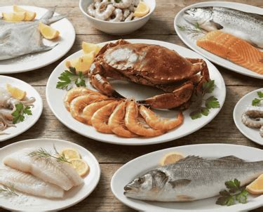 Taramaa Fish Supplier – Premium Frozen Seafood | Taramaa Fish Supplier