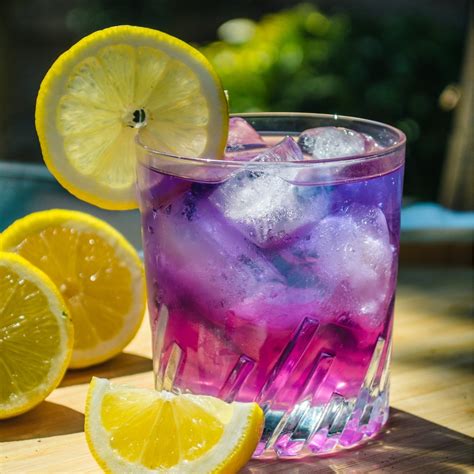 Butterfly Pea Flower Tea Davidstea at Michelle Peckham blog