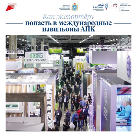 Как экспортёру попасть в международные павильоны АПК | Развитие малого ...
