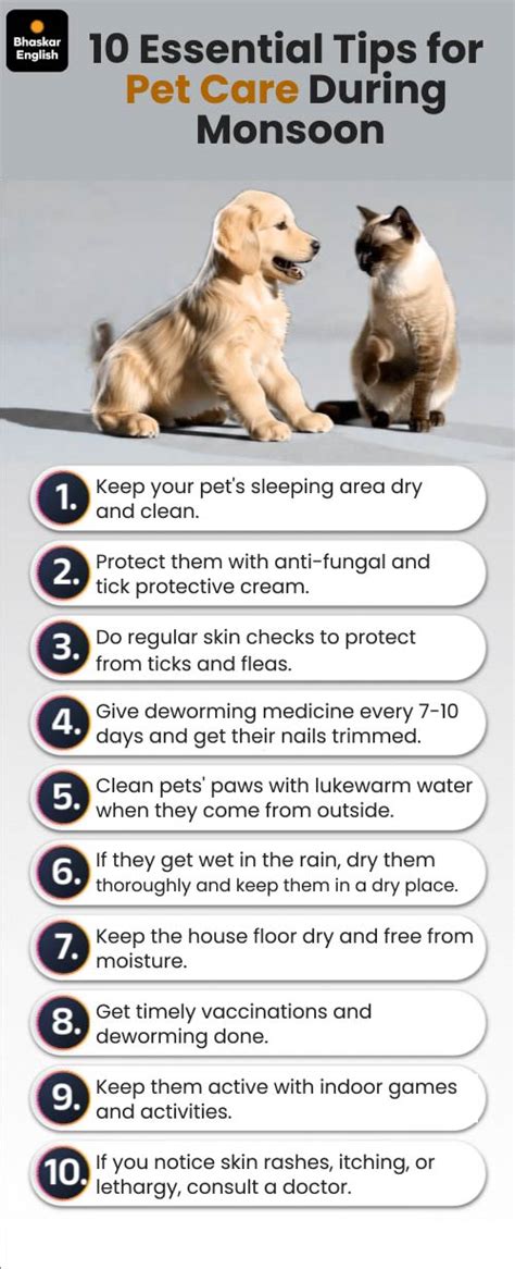 dogs-cats-care-tips-pet-fungal-skin-infection-food-poisoning