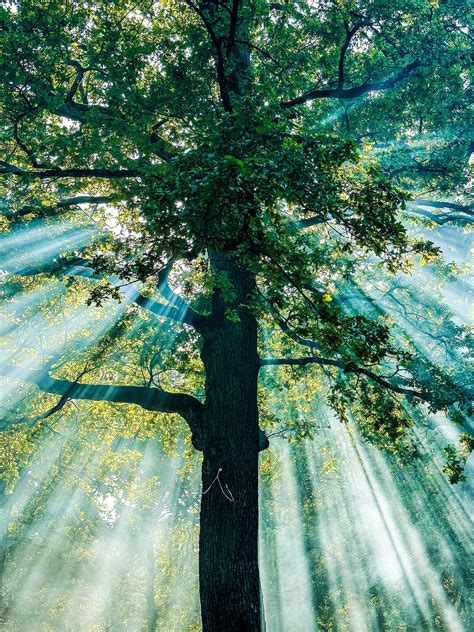 Image result for Soundscape Music