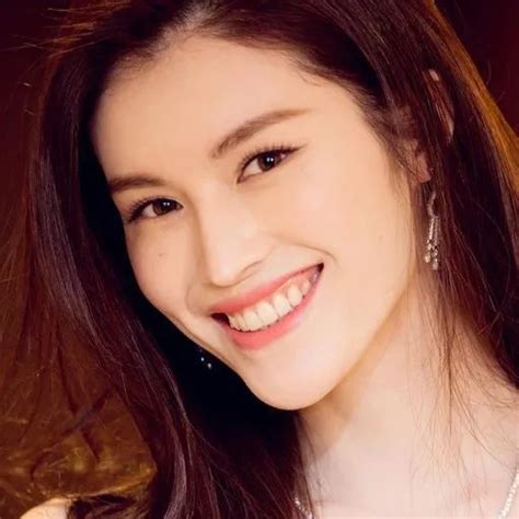 Company Overview - Wuhan Gao Sheng Wei Ye Technology Co., Ltd.