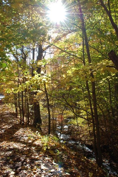 Kuru bakla favasi | SOFRAMIZ.com