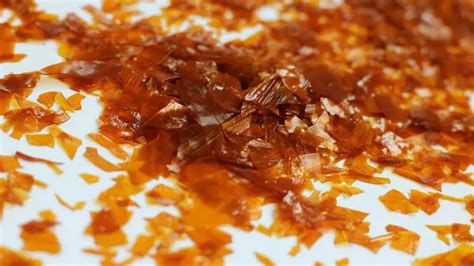 Shellac Coated 的图像结果