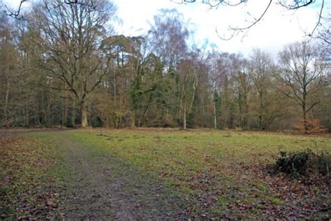 Whippendell Wood, watford, United Kingdom - Top Attractions, Things to ...