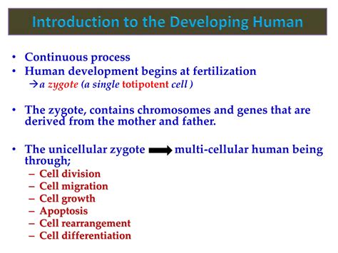 Basic Embryology(1).pdf