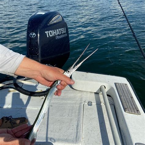 GRAHAM SLAM FISHING CHARTERS - All You SHOULD Know Before Going 2026 ...