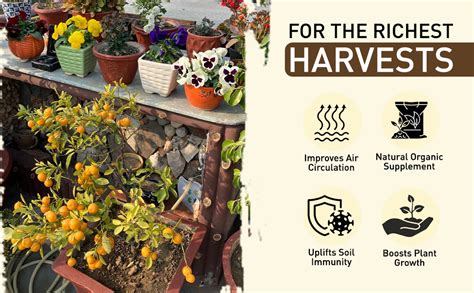 S.S. Dairy Farm Organic Vermicompost (JAIVIK KHAD) | Cow Manure ...