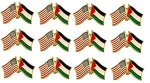 BOX of 12 Palestine & US Crossed Flag Lapel Pins, Palestinian ...
